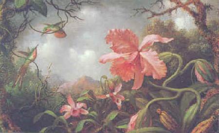 Martin Johnson Heade Orchids and Hummingbirds china oil painting image